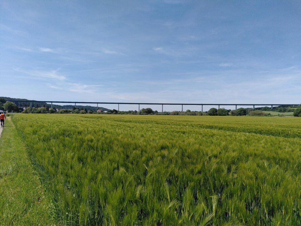 Die vielfotografierte Mintarder Ruhrtalbrücke