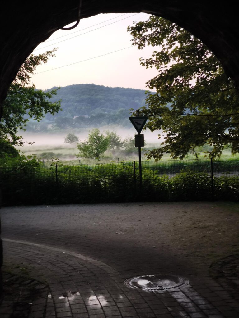Romantik pur: Morgentau auf den Ruhrtalwiesen